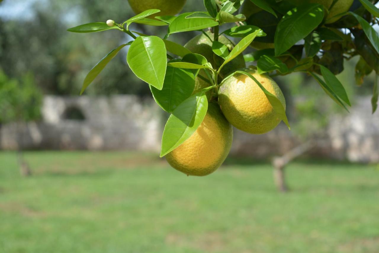 Hotel Puglia Garden Vieste Eksteriør billede